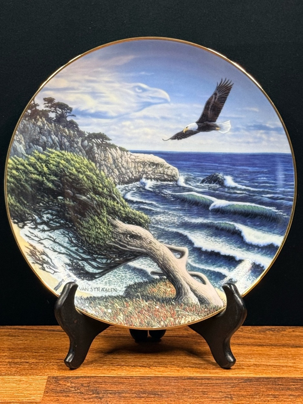 THE DANBURY MINT Eagle Cove by John Van Straalen Collector Plate #F6213